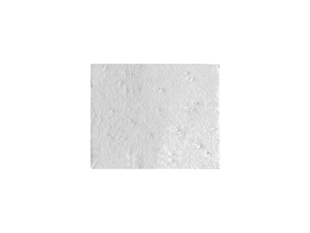 Botiss Collprotect® membrane 15 x 20 mm (601520)
