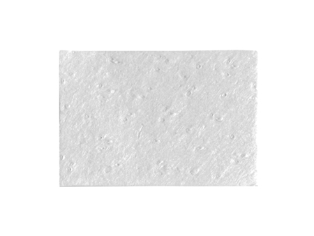 Botiss Collprotect® membrane 20 x 30 mm (602030)