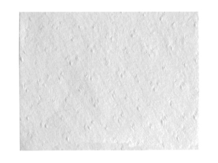 Botiss Collprotect® membrane 30 x 40 mm (603040)