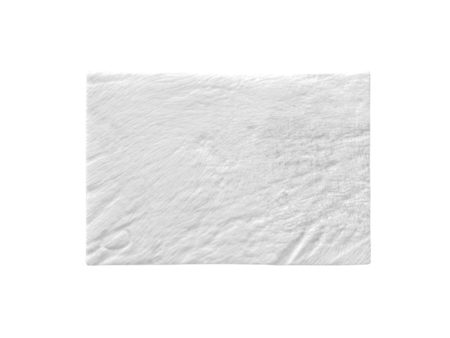Botiss Jason® PERICARDIUM membrane 20 x 30 mm (682030)