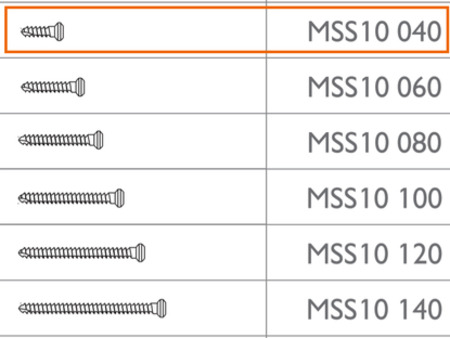 MEISINGER Micro Screw 3 x Ø1.0 - 4mm, by Prof. Dr. Fouad Khoury