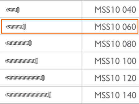 MEISINGER Micro Screw 3 x Ø1.0 - 6mm, by Prof. Dr. Fouad Khoury