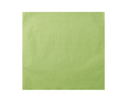 EURONDA Monoart návlek na podhlavník, 28x30cm 250ks zelený