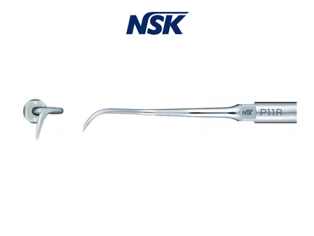 NSK P11R - Perio