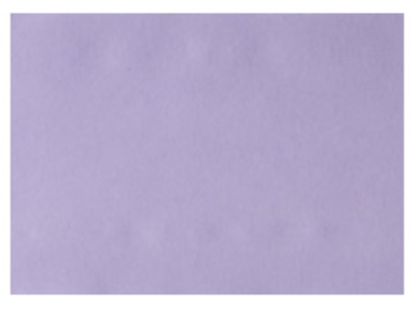 EURONDA Monoart Papírové podložky na tácy 250ks 280x180mm, fialové (205010)