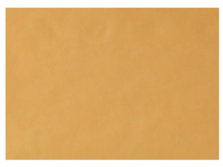 EURONDA Monoart Papírové podložky na tácy 250ks 280x180mm, oranžové (205007)