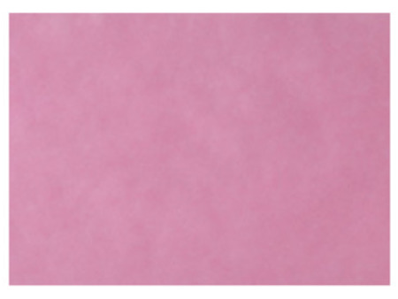 EURONDA Monoart Papírové podložky na tácy 250ks 280x180mm, růžové (205009)