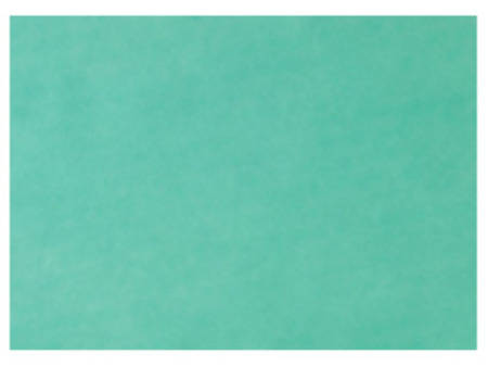 EURONDA Monoart Papírové podložky na tácy 250ks 280x180mm, zelené (205004)