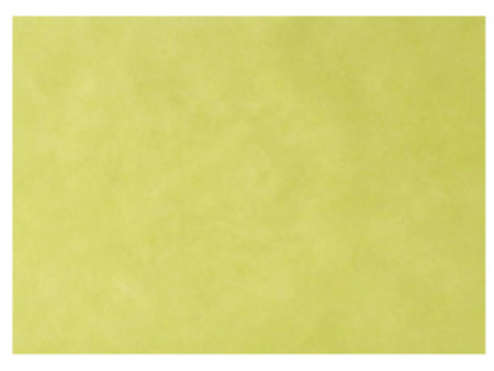 EURONDA Monoart Papírové podložky na tácy 250ks 280x180mm, žlutozelené (205012)